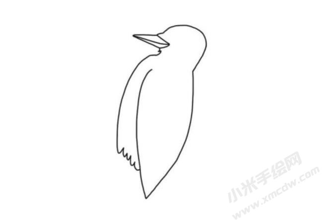 啄木鳥簡(jiǎn)筆畫分步繪制圖示02.jpg