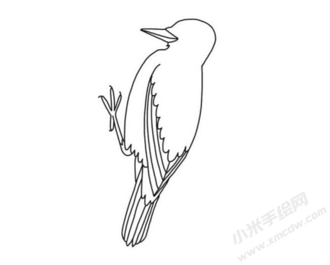 啄木鳥簡(jiǎn)筆畫分步繪制圖示05.jpg