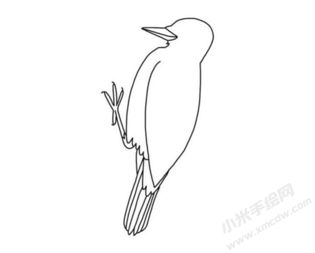 啄木鳥簡(jiǎn)筆畫分步繪制圖示04.jpg