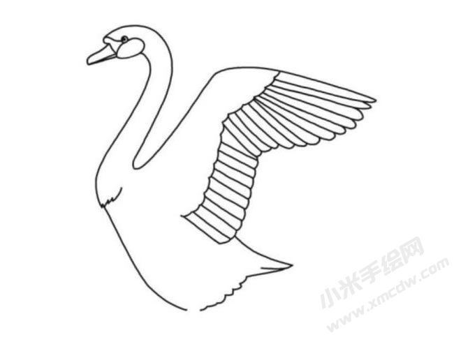 天鵝簡筆畫分步繪制圖示04.jpg