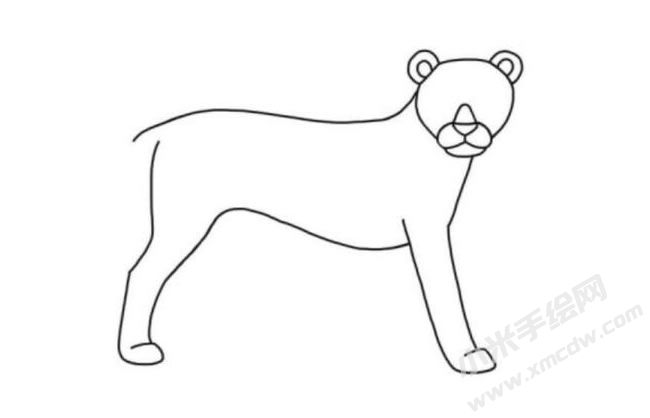 獵豹簡(jiǎn)筆畫分步繪制圖示04.jpg