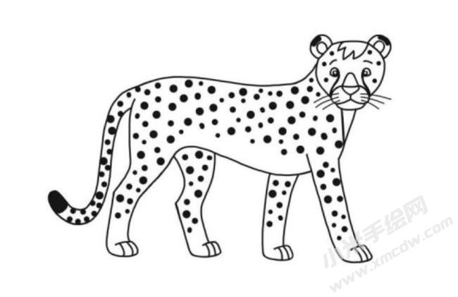 獵豹簡(jiǎn)筆畫分步繪制圖示06.jpg