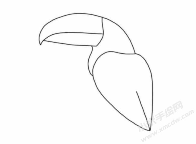 巨嘴鳥簡(jiǎn)筆畫分步繪制圖示03.jpg