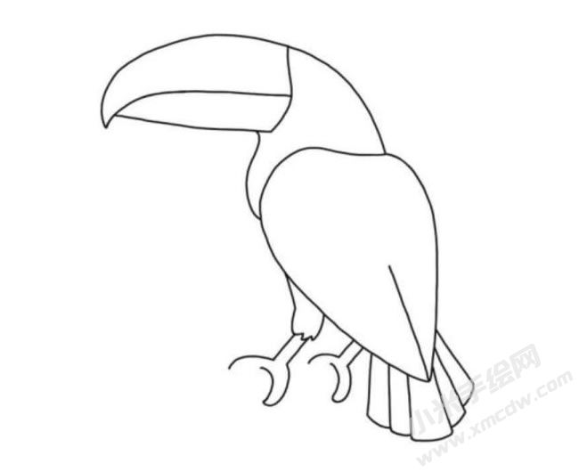 巨嘴鳥簡(jiǎn)筆畫分步繪制圖示05.jpg