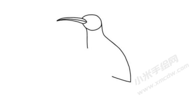戴勝鳥(niǎo)筆畫(huà)分步繪制圖示02.jpg