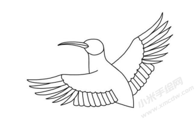 戴勝鳥(niǎo)筆畫(huà)分步繪制圖示03.jpg