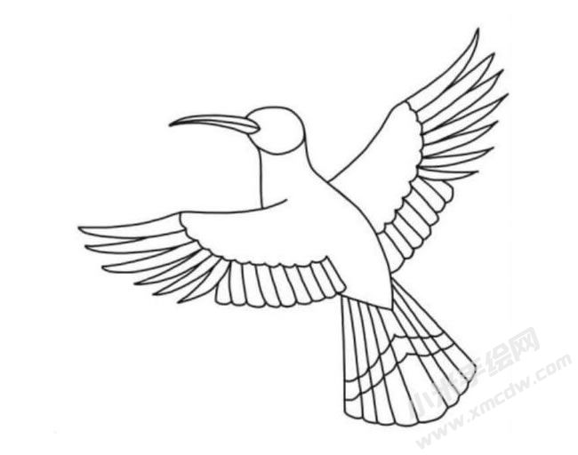 戴勝鳥(niǎo)筆畫(huà)分步繪制圖示04.jpg