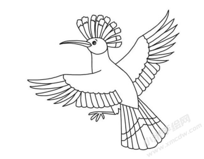 戴勝鳥(niǎo)筆畫(huà)分步繪制圖示06.jpg