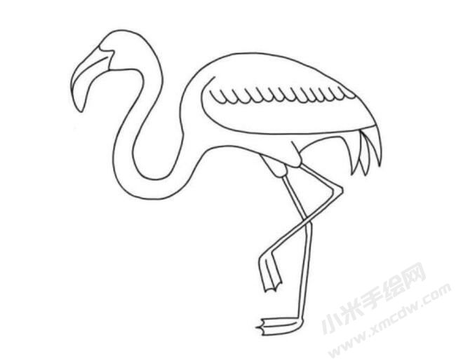 火烈鳥簡筆畫分步繪制圖示05.jpg