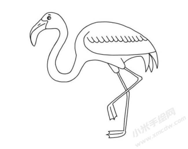 火烈鳥簡筆畫分步繪制圖示06.jpg