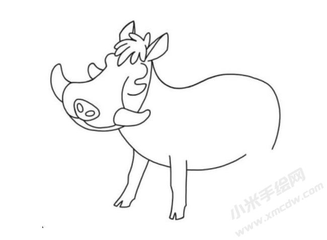 疣豬簡(jiǎn)筆畫分步繪制圖示04.jpg