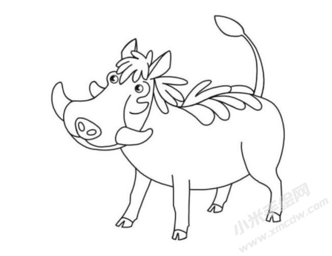 疣豬簡(jiǎn)筆畫分步繪制圖示06.jpg