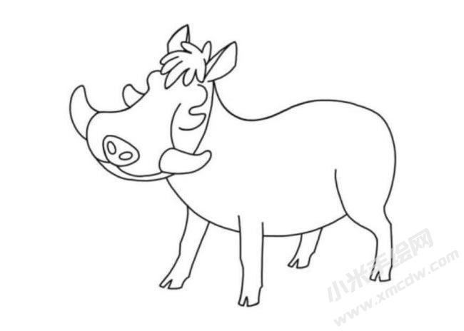 疣豬簡(jiǎn)筆畫分步繪制圖示05.jpg