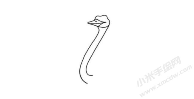鴕鳥簡(jiǎn)筆畫分步繪制圖示02.jpg