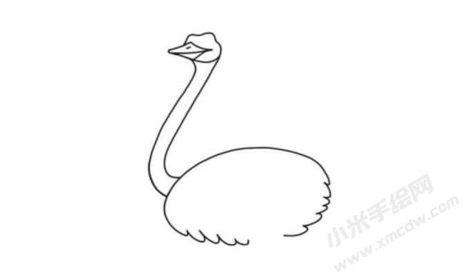 鴕鳥簡(jiǎn)筆畫分步繪制圖示03.jpg