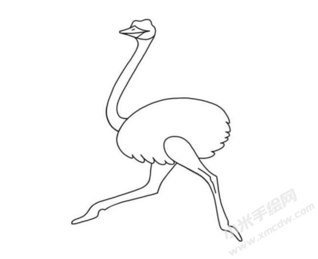 鴕鳥簡(jiǎn)筆畫分步繪制圖示05.jpg