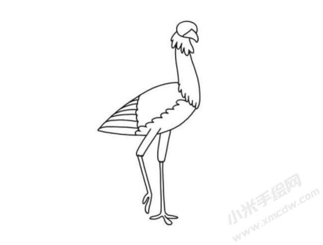 秘書鳥簡筆畫分步繪制圖示04.jpg