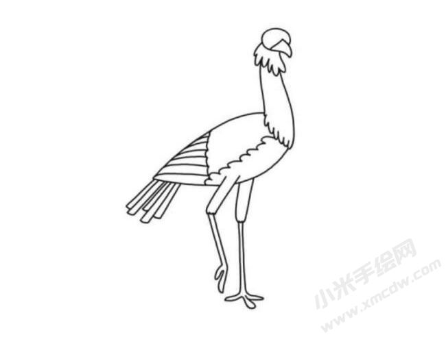 秘書鳥簡筆畫分步繪制圖示05.jpg