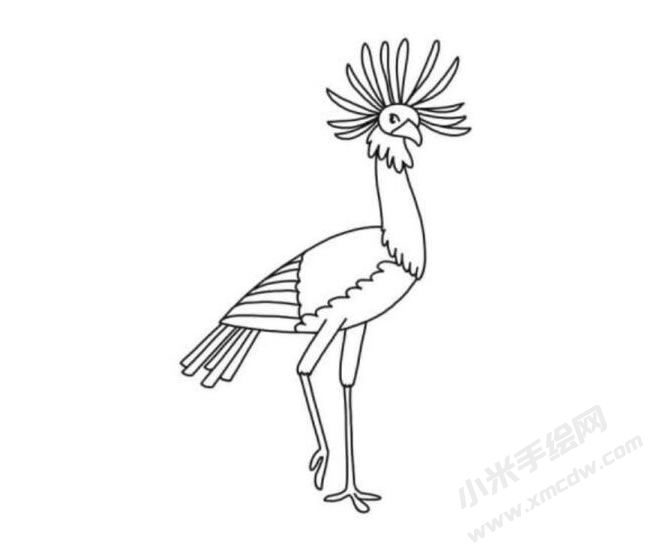 秘書鳥簡筆畫分步繪制圖示06.jpg