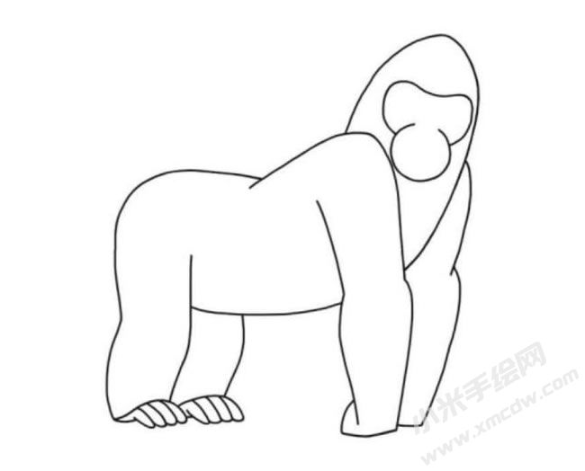 猩猩簡筆畫分步繪制圖示05.jpg