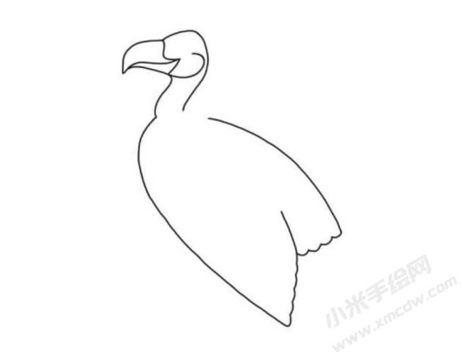 禿鷲簡筆畫分步繪制圖示02.jpg