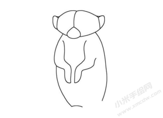 狐獴簡(jiǎn)筆畫分步繪制圖示03.jpg