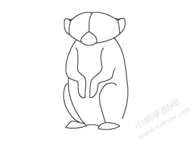 狐獴簡(jiǎn)筆畫分步繪制圖示04.jpg