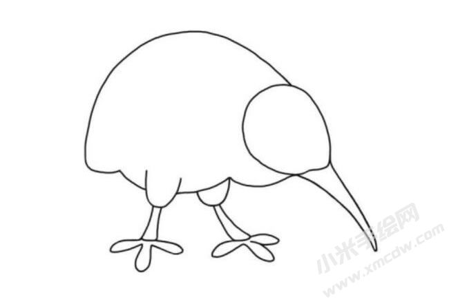 奇異鳥簡筆畫分步繪制圖示05.jpg