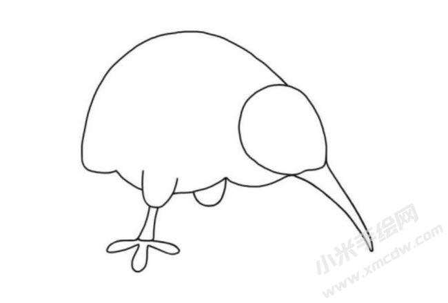 奇異鳥簡筆畫分步繪制圖示04.jpg