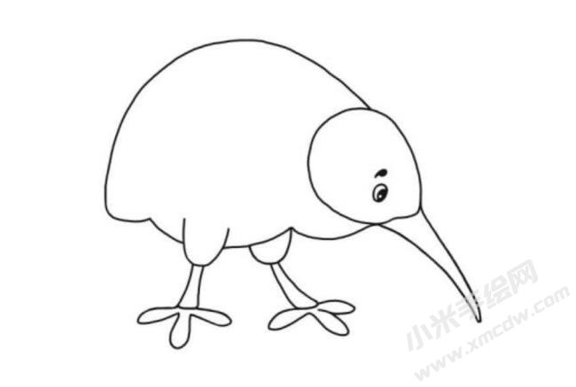 奇異鳥簡筆畫分步繪制圖示06.jpg