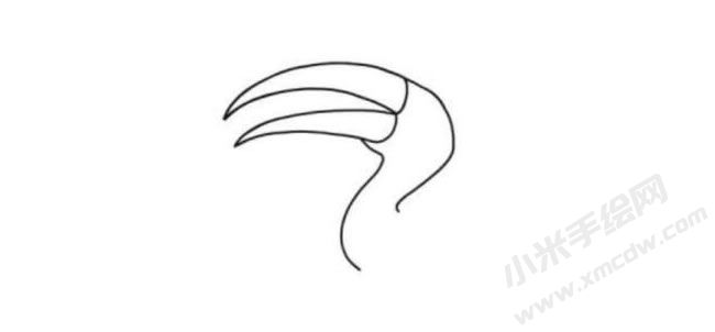 犀鳥簡(jiǎn)筆畫分步繪制圖示01.jpg