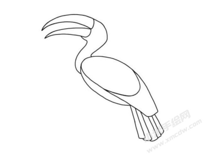 犀鳥簡(jiǎn)筆畫分步繪制圖示03.jpg