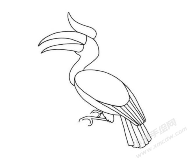 犀鳥簡(jiǎn)筆畫分步繪制圖示05.jpg