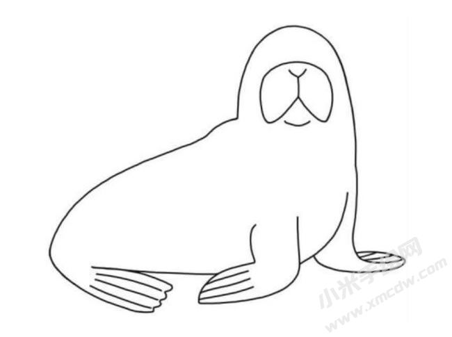 海象簡(jiǎn)筆畫分步繪制圖示05.jpg