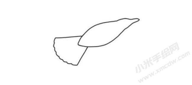 海鷗簡(jiǎn)筆畫(huà)分步繪制圖示02.jpg