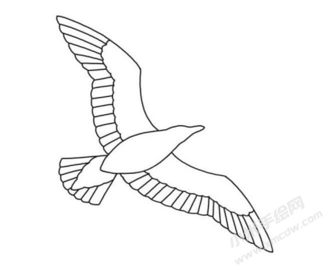 海鷗簡(jiǎn)筆畫(huà)分步繪制圖示05.jpg