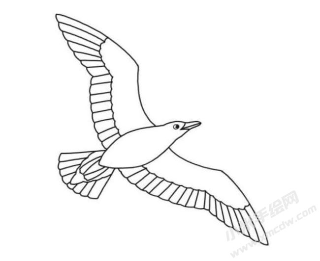 海鷗簡(jiǎn)筆畫(huà)分步繪制圖示06.jpg