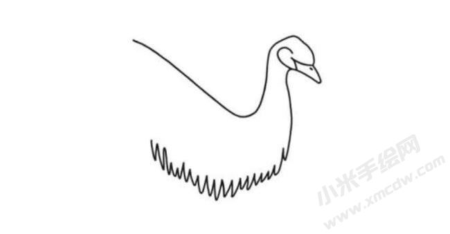 鴯鹋簡(jiǎn)筆畫(huà)分步繪制圖示02.jpg