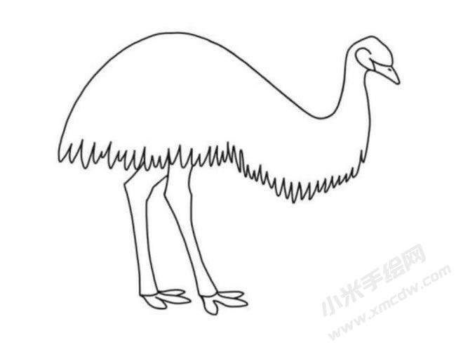 鴯鹋簡(jiǎn)筆畫(huà)分步繪制圖示05.jpg