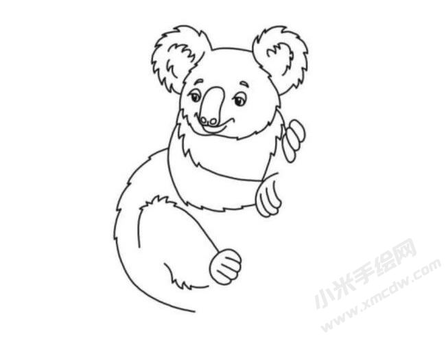 考拉簡(jiǎn)筆畫分步繪制圖示05.jpg