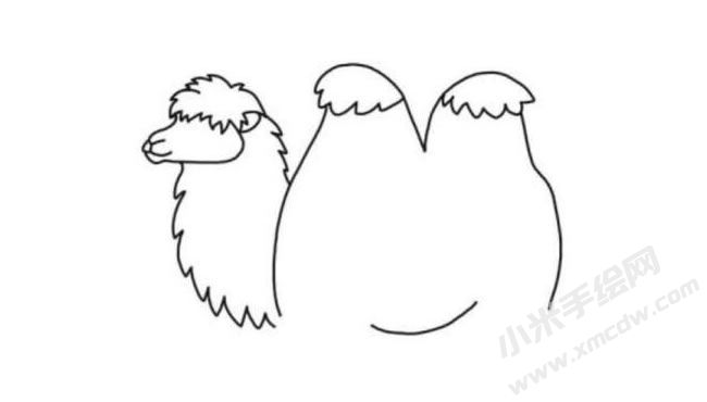 駱駝簡(jiǎn)筆畫(huà)分步繪制圖示03.jpg