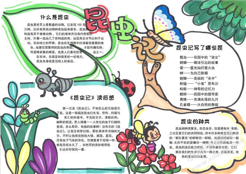 昆蟲記手抄報模板有字版（第三版）.jpg