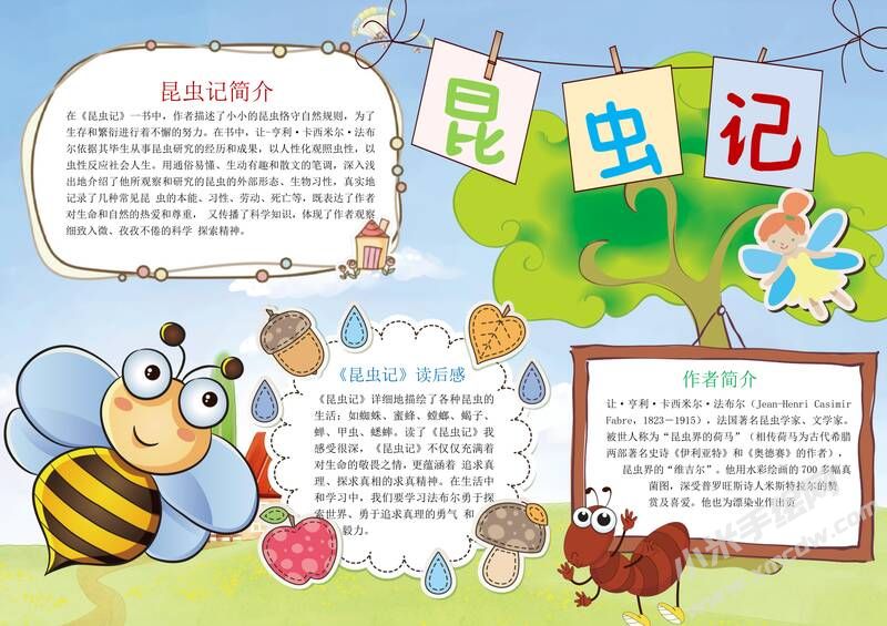 昆蟲記手抄報模板有字版（第五版）.jpg