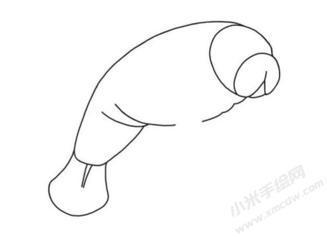 海牛簡筆畫分步繪制圖示03.jpg