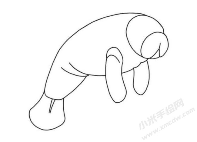 海牛簡筆畫分步繪制圖示05.jpg