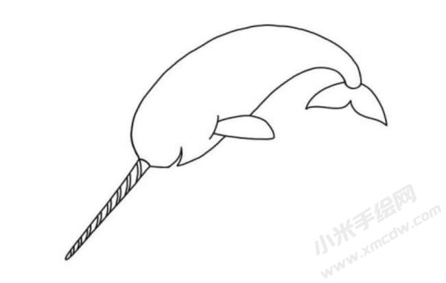 獨角鯨簡筆畫分步繪制圖示05.jpg
