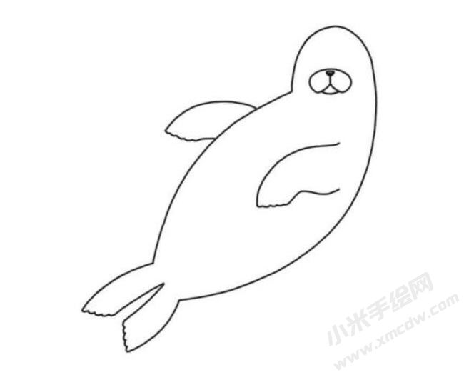 海豹簡筆畫分步繪制圖示05.jpg