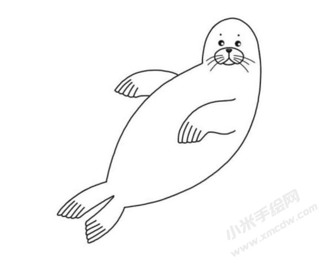 海豹簡筆畫分步繪制圖示06.jpg