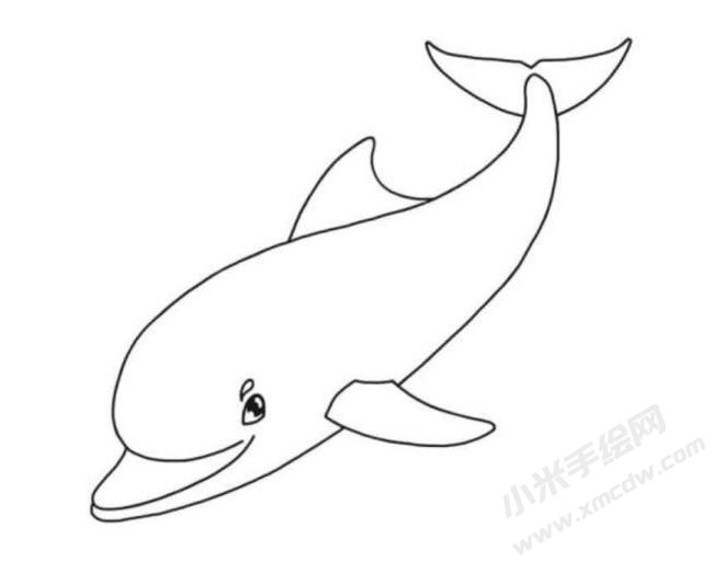 海豚簡筆畫分步繪制圖示06.jpg