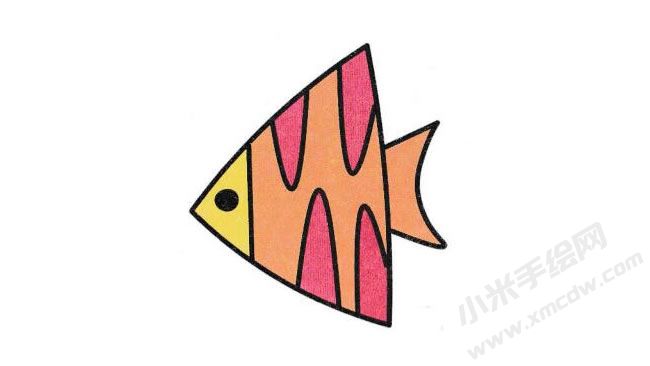 熱帶魚簡筆畫分步繪制圖示06.jpg